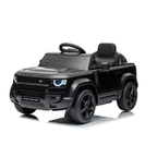 DEFENDER SMALL