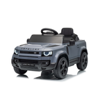 DEFENDER SMALL
