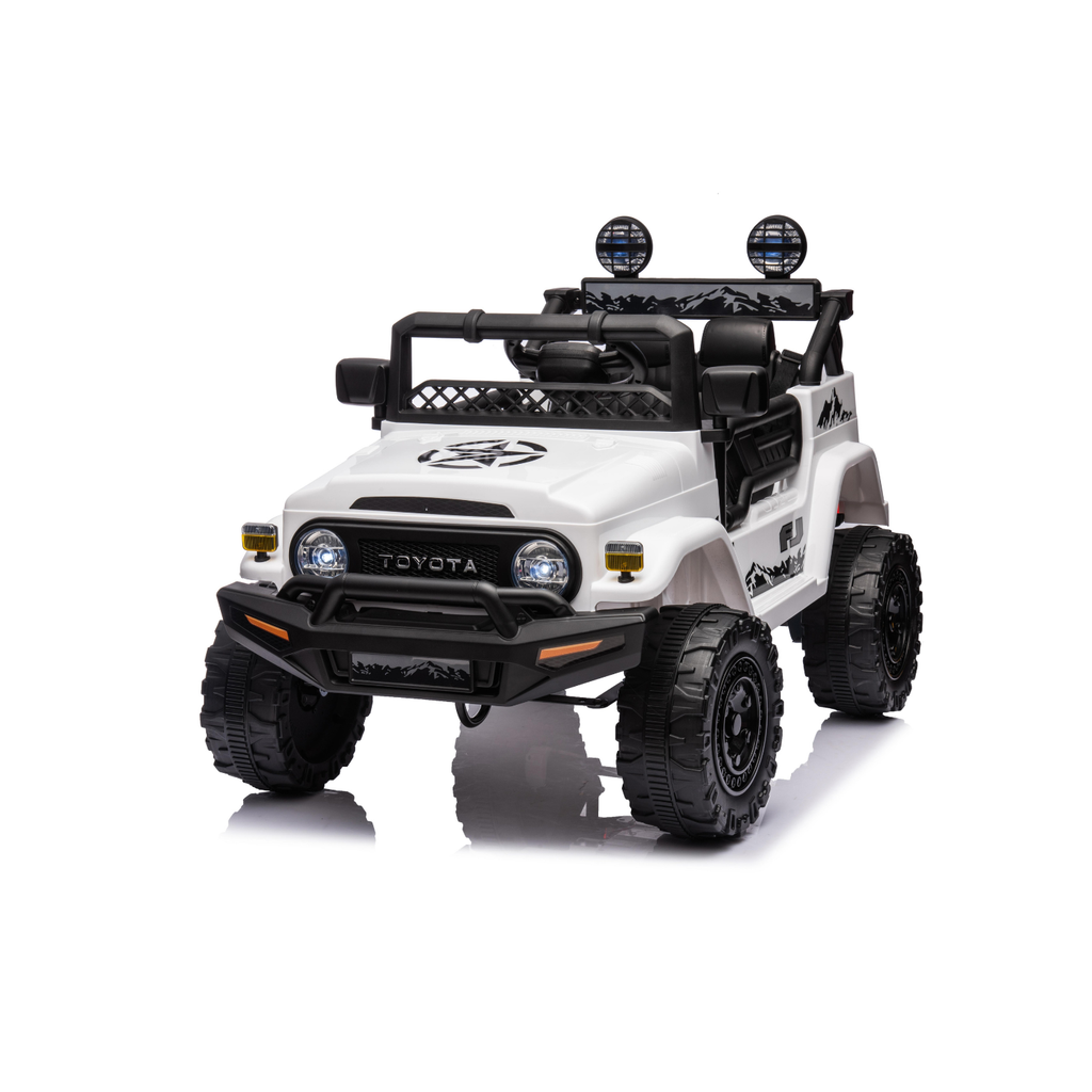 TOYOTA CRUISER