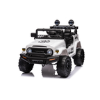 TOYOTA CRUISER