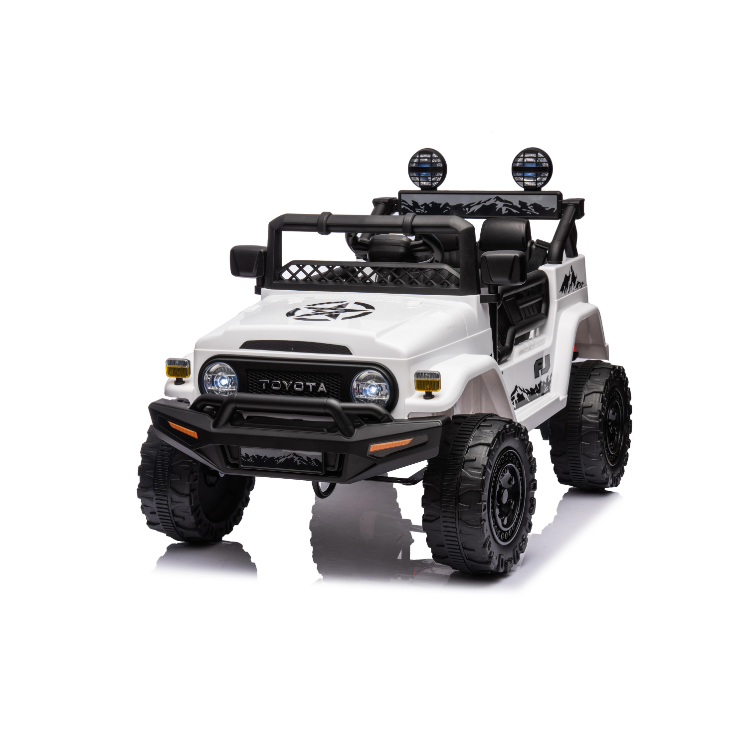 TOYOTA CRUISER