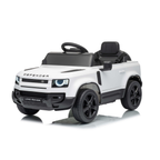 DEFENDER SMALL